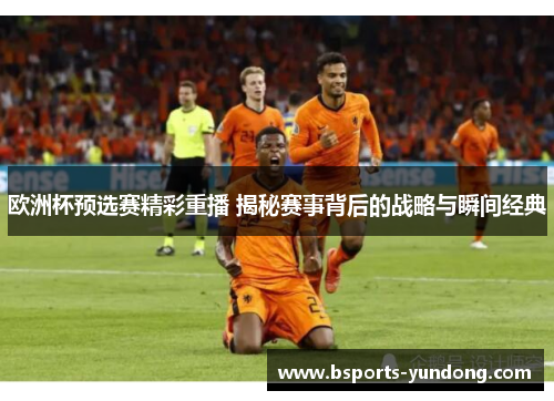 欧洲杯预选赛精彩重播 揭秘赛事背后的战略与瞬间经典